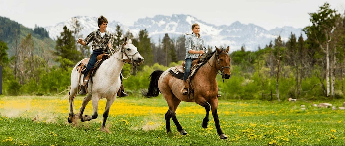 Confident plus-size woman riding Maplehurst a horse through a field with a smile on her face.